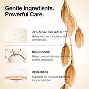 Anua Rice 70 Glow Milky Toner, Non Comedogenic, Korean Skincare, 8.45 fl.oz | Glass & Dewy Skin, Hydrating & Barrier Care, Rice Water, Niacinamide, Ceramides, All Skin Types, Fragrance-Free