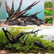 Jorewood Natural Aquarium Driftwood for Fish Tank Reptile Terrariums Decor | Safe Fish Tank Decorations, Unique Twisted Branches 3-Piece 7-11 Inch Low Tannin, Easy to Sink