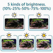 hygger Clip On 24/7 Lighting Aquarium LED Light,Sunrise-Daylight-Moonlight and DIY Mode, Adjustable Timer/Brightness Fish Tank Light with 7 Colors for Planted Tank (14W for 12~20in Tank)