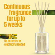 Glade Reed Diffuser, Romantic Vanilla Blossom, 50ml | Long-Lasting Home Fragrance, Continuous Room Air Freshener for Up to 5 Weeks, 1 Glass Diffuser & 5 Reed Sticks