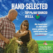 Small Pet Select 1st Cutting Timothy Hay for Rabbits & Guinea Pigs, 2 lb | High Fiber Natural Hay, Grown in USA, Long Coarse Strands for Dental Wear, For Chinchillas, Hamsters, Bunnies & Small Pets
