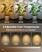 GOODEA Battery Operated Spot Light Indoor with Remote, Up to 30 Days, 3 CCT | 360° Rotable, Dimmable Rechargeable Picture Light for Wall, Tree Spotlight Indoor, Uplighting Stick on Wall for Plant Artwork