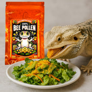 CTWPets 100% Bee Pollen Powder - Food for Reptiles | Single-ingredient food topper for bearded dragons, tortoises and other herbivorous or omnivorous reptiles