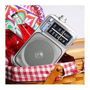 Panasonic Portable AM/FM Radio, Battery Operated Analog Radio, AC Powered, Silver (RF-2400D)