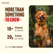 Natural Farm 4 Inch Bully Sticks for Small Dogs & Puppies, 10 Count | Single-Ingredient, 100% Beef, Low Odor, Rawhide-Free, Fully Digestible Chews for Puppies & Small Dogs