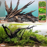 Jorewood Natural Aquarium Driftwood for Fish Tank Reptile Terrariums Decor | Safe Fish Tank Decorations, Unique Twisted Branches 3-Piece 7-11 Inch Low Tannin, Easy to Sink