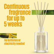 Glade Reed Diffuser, Romantic Vanilla Blossom, 50ml | Long-Lasting Home Fragrance, Continuous Room Air Freshener for Up to 5 Weeks, 1 Glass Diffuser & 5 Reed Sticks