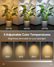 GOODEA Battery Operated Spot Light Indoor with Remote, Up to 30 Days, 3 CCT | 360° Rotable, Dimmable Rechargeable Picture Light for Wall, Tree Spotlight Indoor, Uplighting Stick on Wall for Plant Artwork