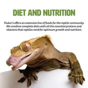 Fluker's Premium Tortoise Diet Small Pellet Food, 7 oz
