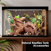 Jorewood Natural Aquarium Driftwood for Fish Tank Reptile Terrariums Decor | Safe Fish Tank Decorations, Unique Twisted Branches 3-Piece 7-11 Inch Low Tannin, Easy to Sink
