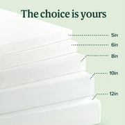 Zinus 6 Inch Twin Green Tea Memory Foam Mattress, Medium Firm Feel | Pressure-Relieving Comfort & Full-Body Support, Naturally Fresh, CertiPUR-US & OEKO-TEX Certified Safe Materials