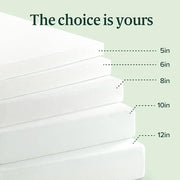 Zinus 6 Inch Twin Green Tea Memory Foam Mattress, Medium Firm Feel | Pressure-Relieving Comfort & Full-Body Support, Naturally Fresh, CertiPUR-US & OEKO-TEX Certified Safe Materials