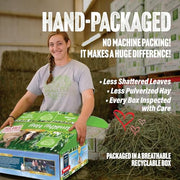Small Pet Select 1st Cutting Timothy Hay for Rabbits & Guinea Pigs, 2 lb | High Fiber Natural Hay, Grown in USA, Long Coarse Strands for Dental Wear, For Chinchillas, Hamsters, Bunnies & Small Pets