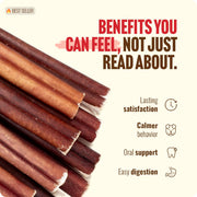 Natural Farm 4 Inch Bully Sticks for Small Dogs & Puppies, 10 Count | Single-Ingredient, 100% Beef, Low Odor, Rawhide-Free, Fully Digestible Chews for Puppies & Small Dogs