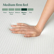 Zinus 6 Inch Twin Green Tea Memory Foam Mattress, Medium Firm Feel | Pressure-Relieving Comfort & Full-Body Support, Naturally Fresh, CertiPUR-US & OEKO-TEX Certified Safe Materials