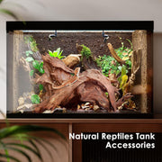 Jorewood Natural Aquarium Driftwood for Fish Tank Reptile Terrariums Decor | Safe Fish Tank Decorations, Unique Twisted Branches 3-Piece 7-11 Inch Low Tannin, Easy to Sink