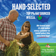 Small Pet Select 1st Cutting Timothy Hay for Rabbits & Guinea Pigs, 2 lb | High Fiber Natural Hay, Grown in USA, Long Coarse Strands for Dental Wear, For Chinchillas, Hamsters, Bunnies & Small Pets