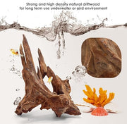 Jorewood Natural Aquarium Driftwood for Fish Tank Reptile Terrariums Decor | Safe Fish Tank Decorations, Unique Twisted Branches 3-Piece 7-11 Inch Low Tannin, Easy to Sink