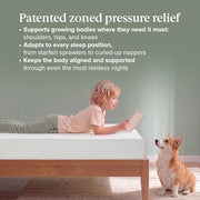 Zinus 6 Inch Twin Green Tea Memory Foam Mattress, Medium Firm Feel | Pressure-Relieving Comfort & Full-Body Support, Naturally Fresh, CertiPUR-US & OEKO-TEX Certified Safe Materials