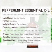 MUNUSNA Peppermint Essential Oil 100ml, Pure Natural Oil for Diffusers | Peppermint Oil with Fresh Cool Herbal Aroma, Steam Distilled for Candle Making, Soaps, Massage Blends and DIY Projects