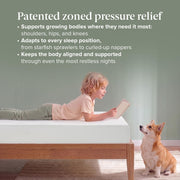 Zinus 6 Inch Twin Green Tea Memory Foam Mattress, Medium Firm Feel | Pressure-Relieving Comfort & Full-Body Support, Naturally Fresh, CertiPUR-US & OEKO-TEX Certified Safe Materials
