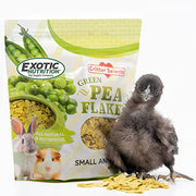 Exotic Nutrition Green Pea Flakes 3oz. - Healthy & Unique Treat - Rat, Degu, Prairie Dog, Chinchilla, Hedgehog, Parrot, Guinea Pig, Rabbit, Hamster