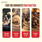 Natural Farm 4 Inch Bully Sticks for Small Dogs & Puppies, 10 Count | Single-Ingredient, 100% Beef, Low Odor, Rawhide-Free, Fully Digestible Chews for Puppies & Small Dogs