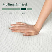 Zinus 6 Inch Twin Green Tea Memory Foam Mattress, Medium Firm Feel | Pressure-Relieving Comfort & Full-Body Support, Naturally Fresh, CertiPUR-US & OEKO-TEX Certified Safe Materials