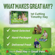 Small Pet Select 1st Cutting Timothy Hay for Rabbits & Guinea Pigs, 2 lb | High Fiber Natural Hay, Grown in USA, Long Coarse Strands for Dental Wear, For Chinchillas, Hamsters, Bunnies & Small Pets