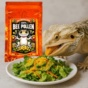 CTWPets 100% Bee Pollen Powder - Food for Reptiles | Single-ingredient food topper for bearded dragons, tortoises and other herbivorous or omnivorous reptiles