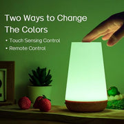 Ledivion Night Light, LED Touch Bedside Table Lamp, RGB Colours Changing, 5 Brightness Level, Timing Function, Dimmable Rechargable Remote Control Light for Bedroom, Living Room