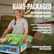Small Pet Select 1st Cutting Timothy Hay for Rabbits & Guinea Pigs, 2 lb | High Fiber Natural Hay, Grown in USA, Long Coarse Strands for Dental Wear, For Chinchillas, Hamsters, Bunnies & Small Pets