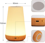 Ledivion Night Light, LED Touch Bedside Table Lamp, RGB Colours Changing, 5 Brightness Level, Timing Function, Dimmable Rechargable Remote Control Light for Bedroom, Living Room